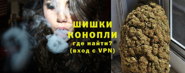 ГАЛЛЮЦИНОГЕННЫЕ ГРИБЫ Арсеньев