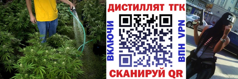 сколько стоит  Бокситогорск  Дистиллят ТГК Wax 
